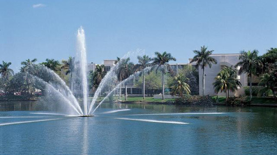 University of Miami