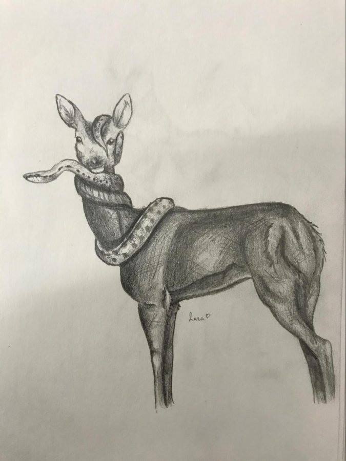 Titled “Trust,” this is a hand drawn illustration using a 0.7 mechanical pencil. Pictured is a snake enveloping a deer. “It represents a strong trust between two beings.” Illustration by Illana Borgensen