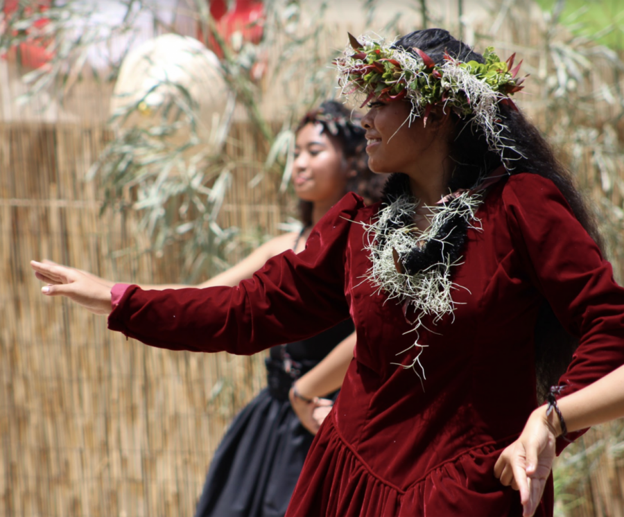 Multicultural Day Captivates Crowd