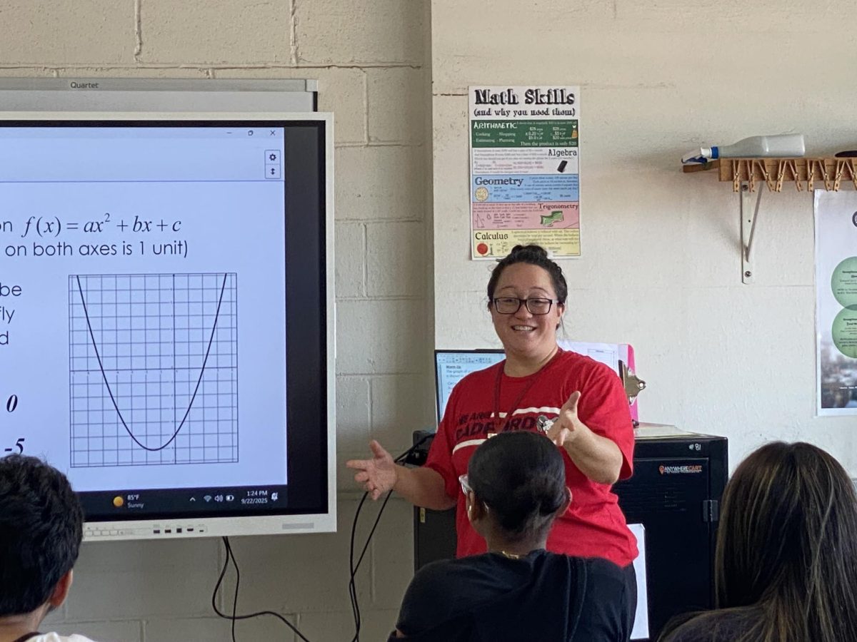Mrs. Pattison teaches in Room 213.
